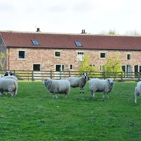 Luxury Barn With Sauna Near Welcoming Families, Friends, Groups *
