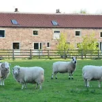 Luxury Barn With Sauna Near Welcoming Families, Friends, Groups Prázdninový dům